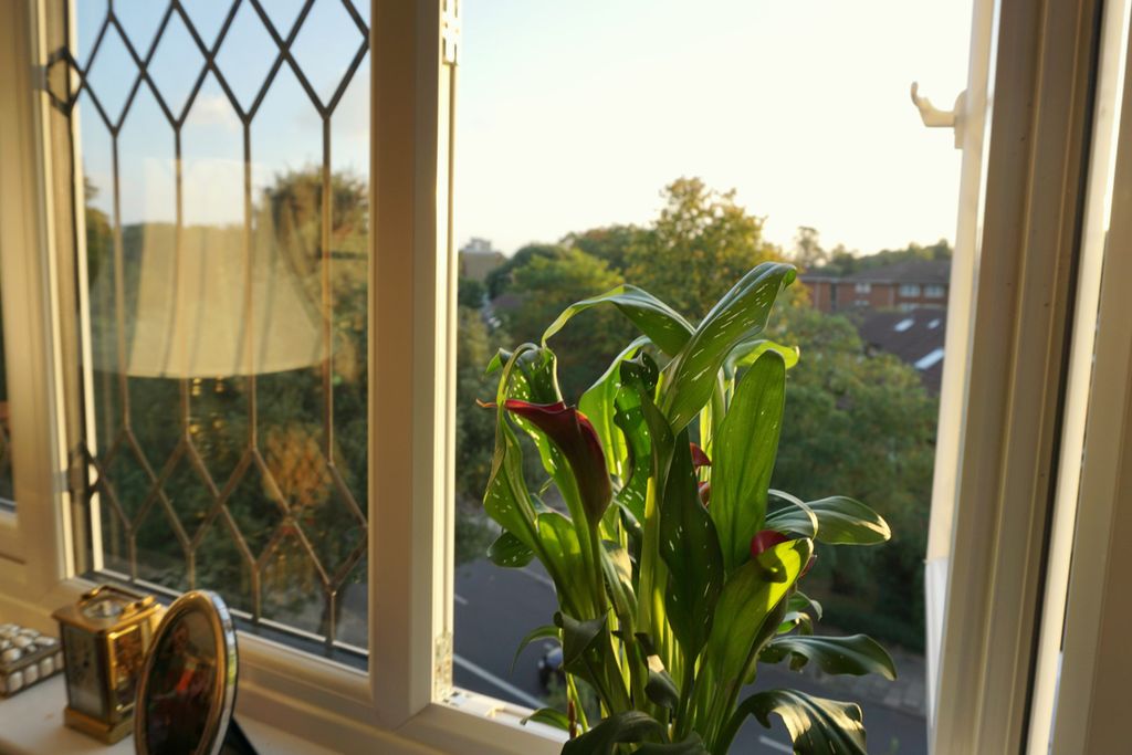 Property photo 3 of 14 Photo 34