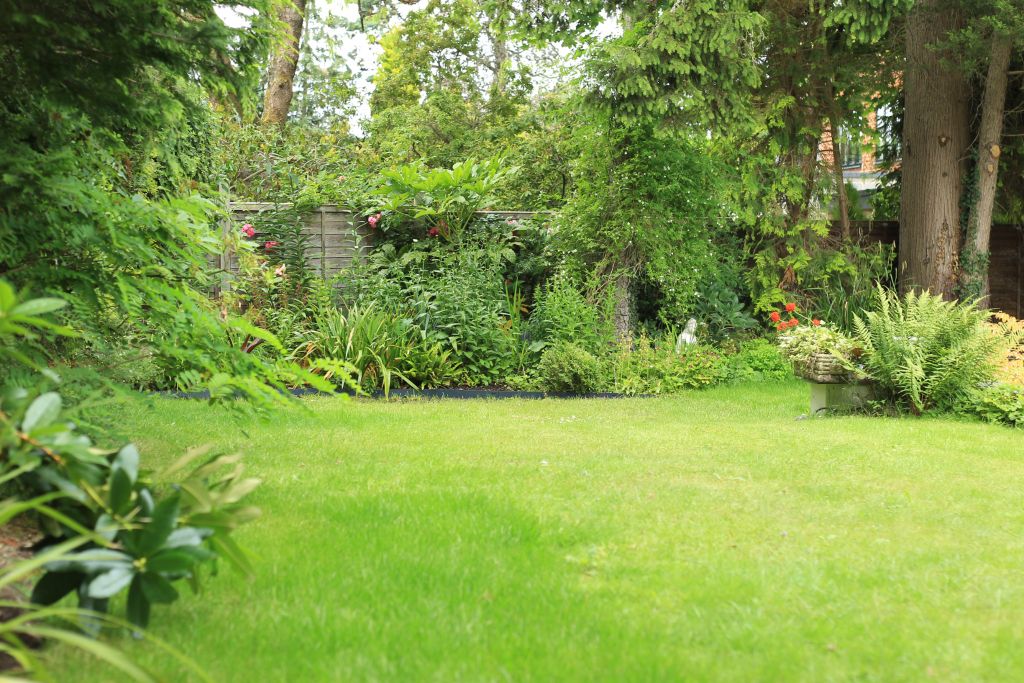 Property photo 2 of 50