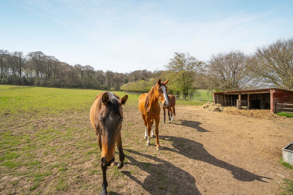 Property photo 2 of 26 Picture No. 07