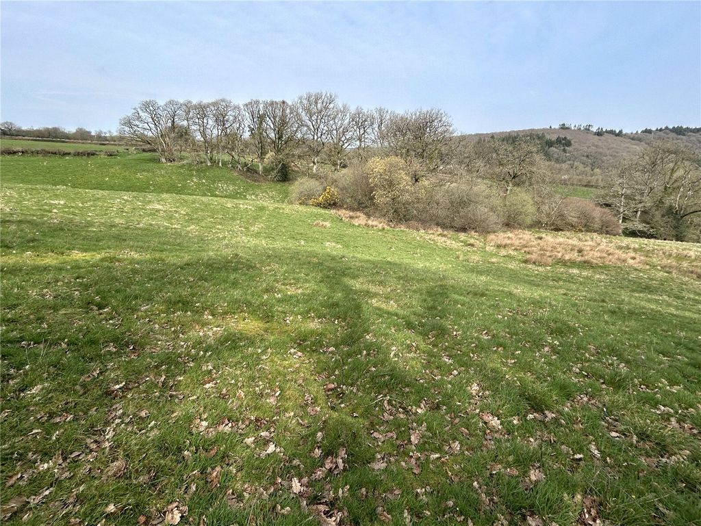 Additional image 5 of Land for saleHollocombe, Chulmleigh, Devon EX18