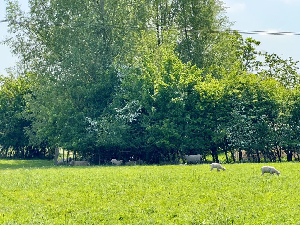 Property photo 2 of 21