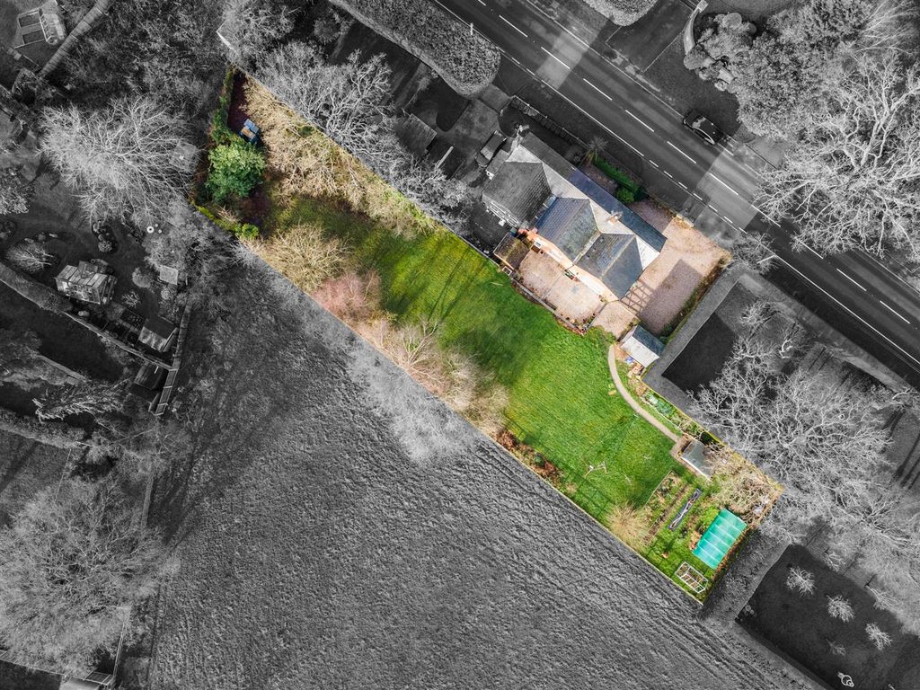 Property photo 1 of 20 Ivanhoe_41 B&W.Jpg