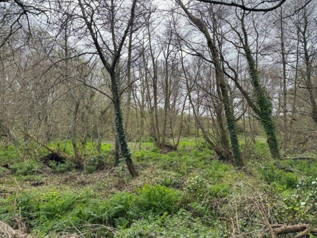 Property photo 1 of 6 View Of The Land