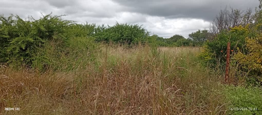 Property photo 2 of 13 Overgrown Grassy Field With Tall Brown And Green Grasses Under A Gray, Cloudy Sky; Shrubs Along The Edges And A Rusty Fence Post On The Right Edge.