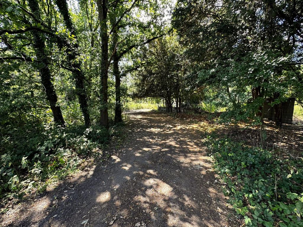 Property photo 3 of 12 Img_1511.Jpeg