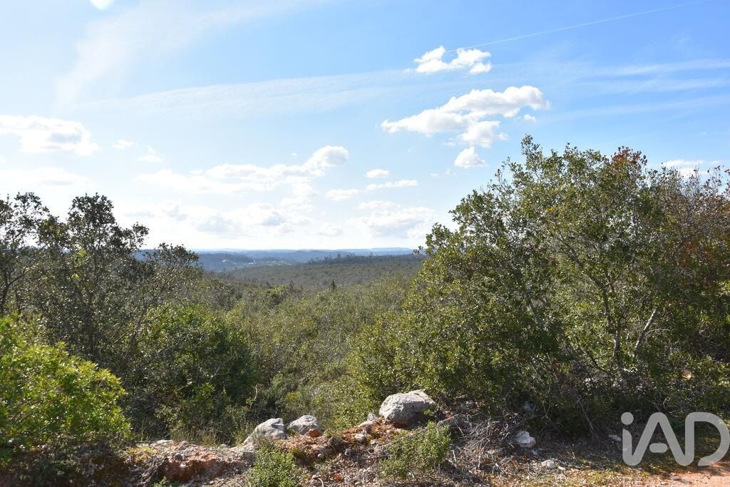 Property photo 1 of 40