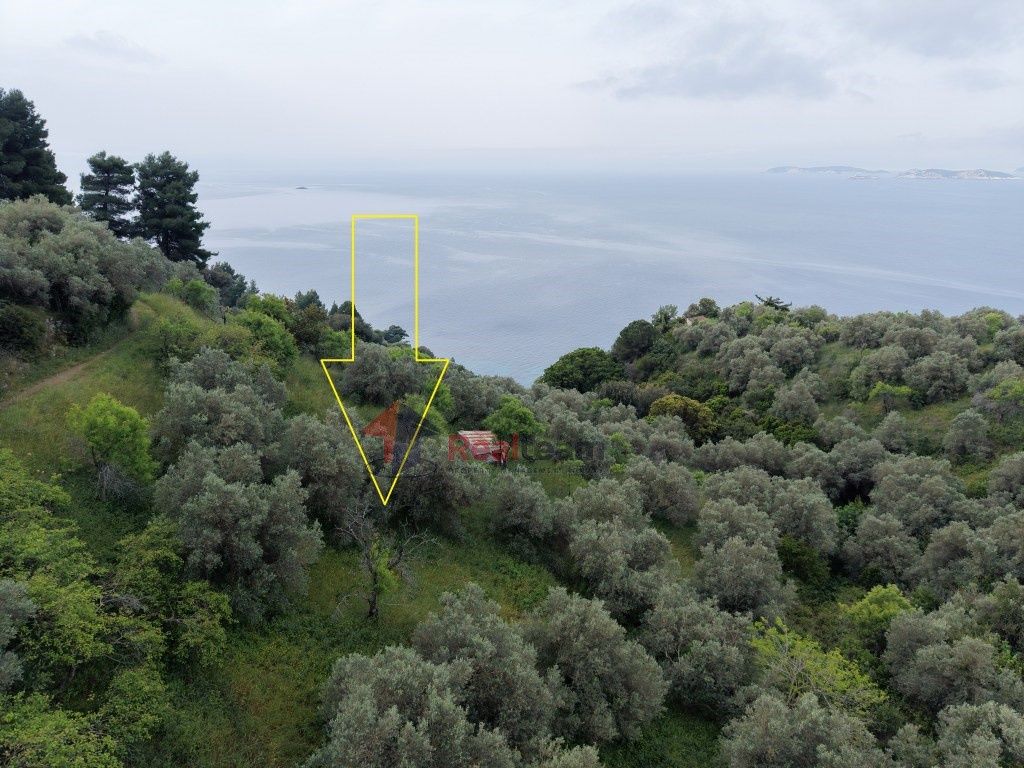 Property photo 3 of 29