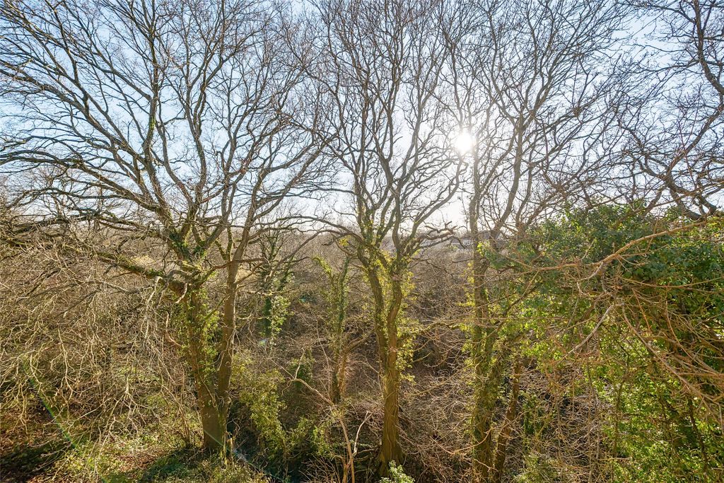 Property photo 2 of 18 Nature Reserve