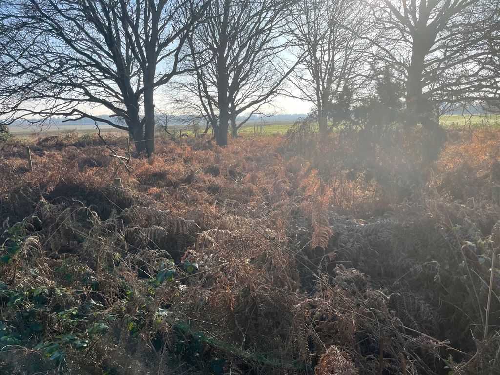 Property photo 3 of 5 Photo 03