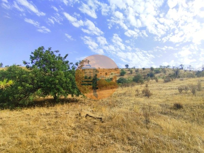 Property photo 3 of 32