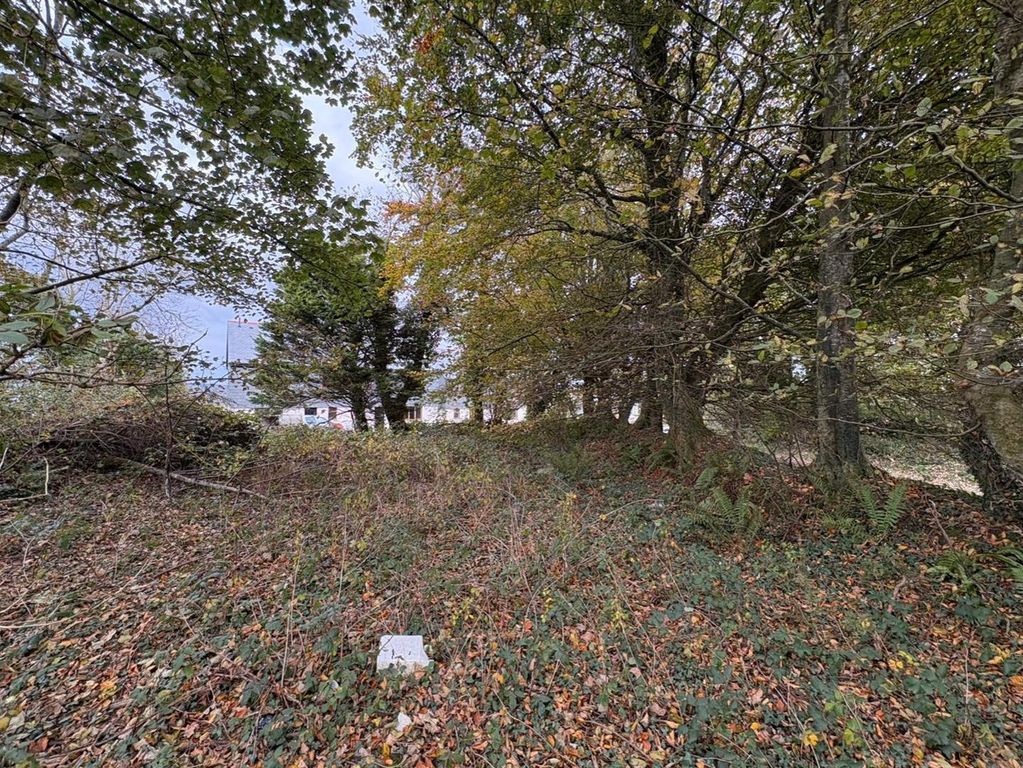 Additional image 8 of Land for saleTrewint, Launceston PL15