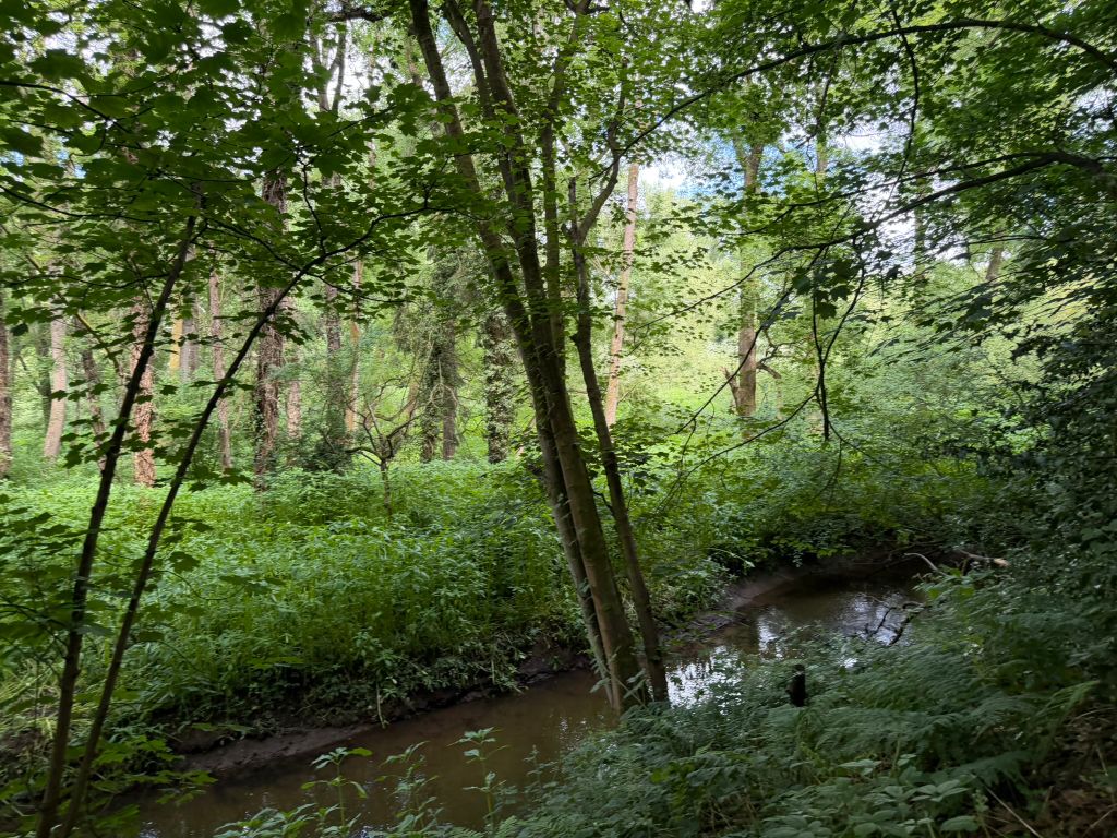 Additional image 10 of Land for sale64.17 Acres Land At Castle Farm, Greensforge Lane, Stourbridge DY7