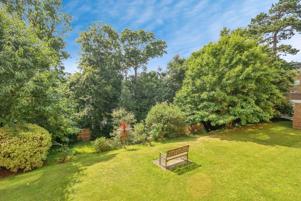 Property photo 3 of 13 Photography