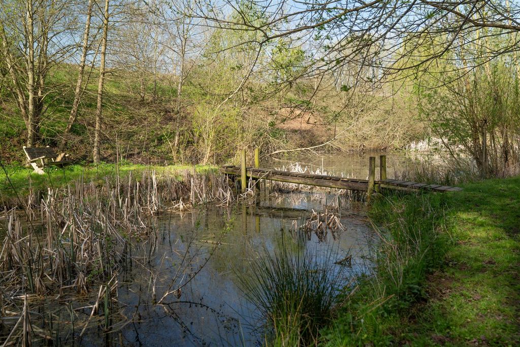Property photo 3 of 39 Pond