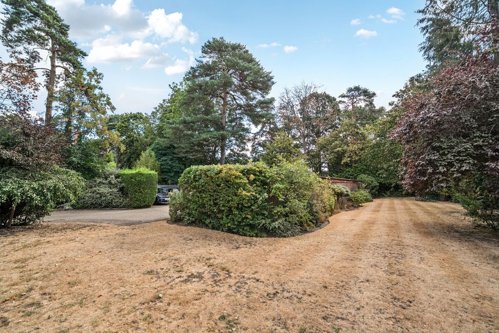 Property photo 2 of 12 6-6A74514F88E34-1...