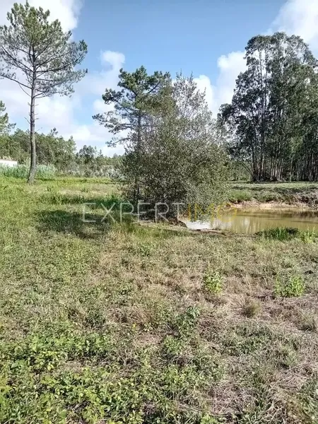 Property photo 2 of 4 Img 1