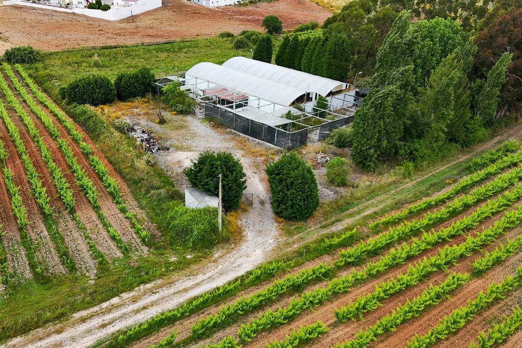 Property photo 1 of 17 Land For Culture And Vineyard