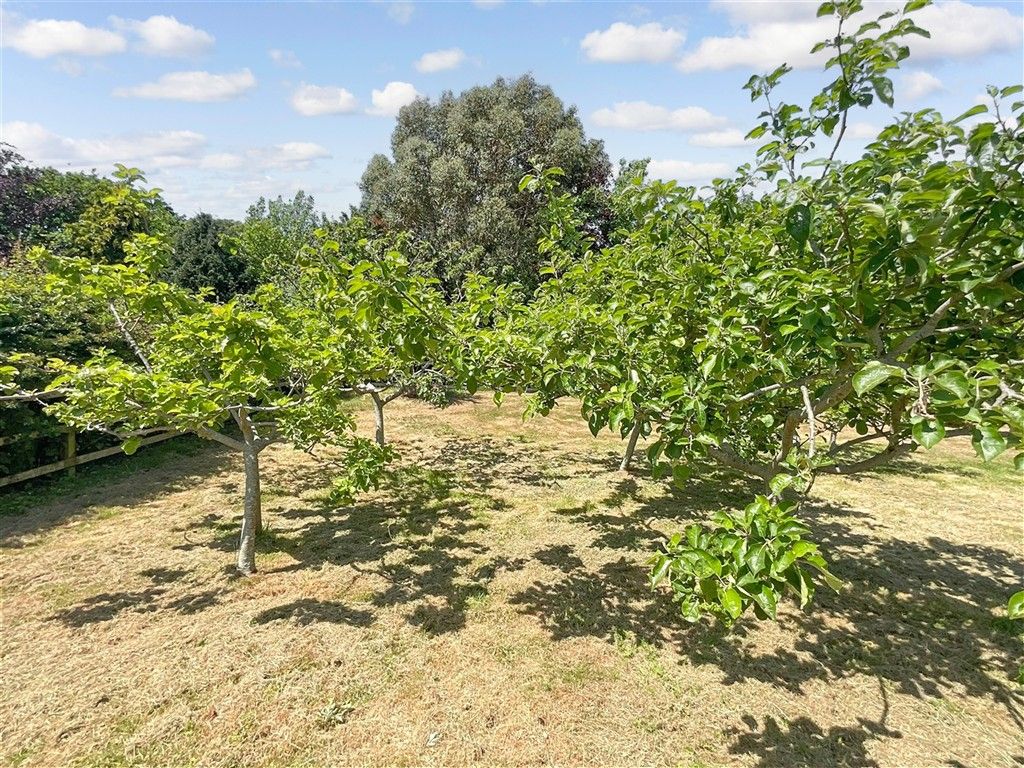 Property photo 3 of 14 Orchard 1