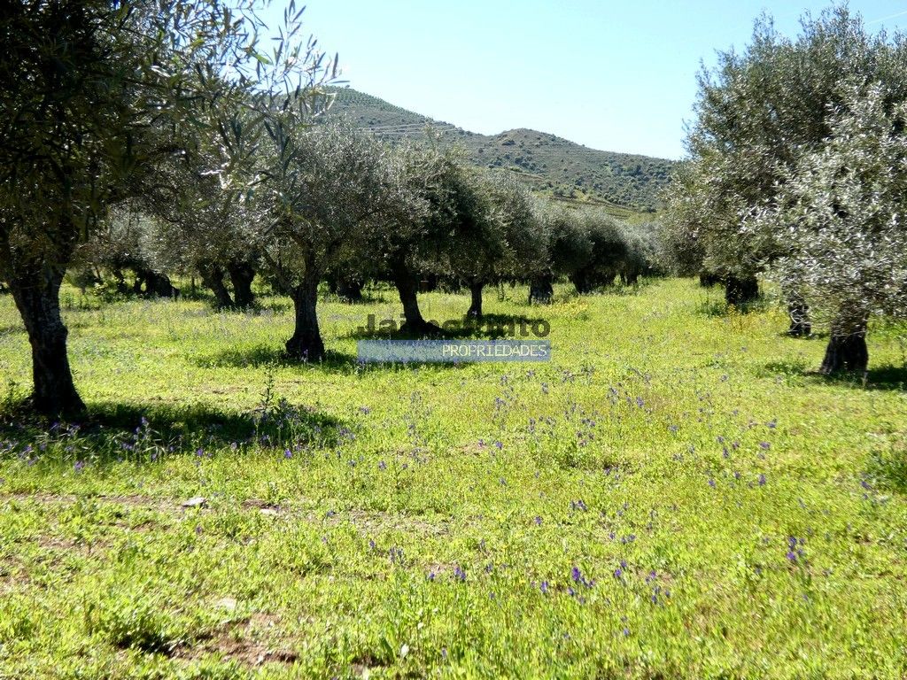 Property photo 3 of 9