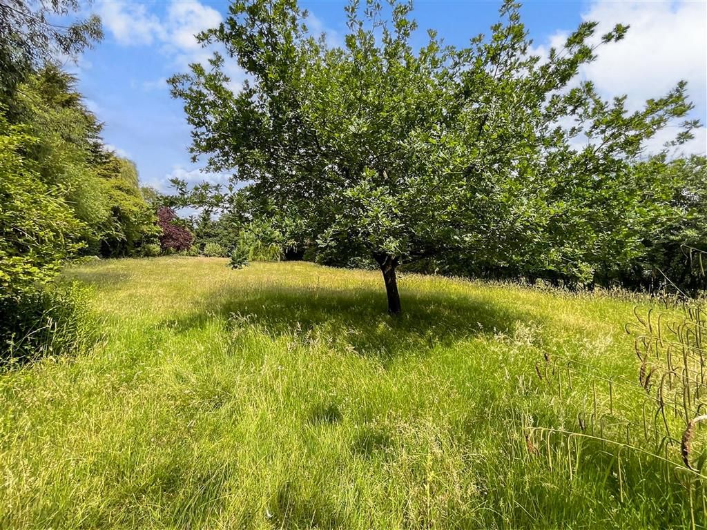 Property photo 1 of 18 Rear Garden