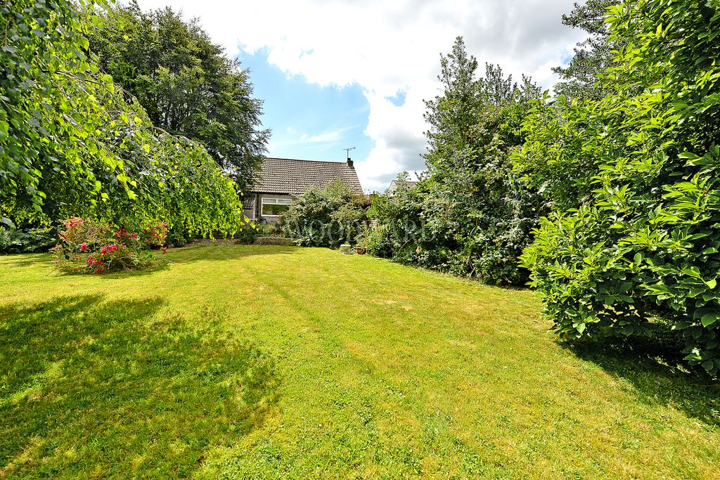 Property photo 2 of 20 Rear Elevation
