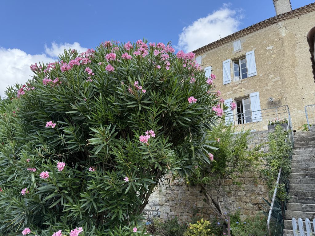 Property photo 1 of 28