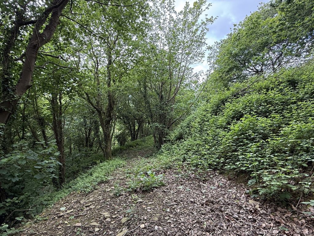 Additional image 25 of 4 bed farm for saleFernfield, Baglan, Port Talbot, Neath Port Talbot. SA12