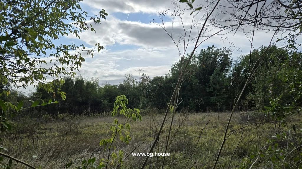 Property photo 2 of 37 Wide View Of A Grassy Field Bordered By Trees Under A Partly Cloudy Sky