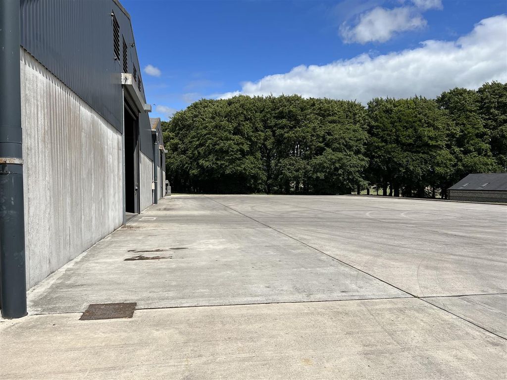 Property photo 3 of 12 Shed 90.Jpg