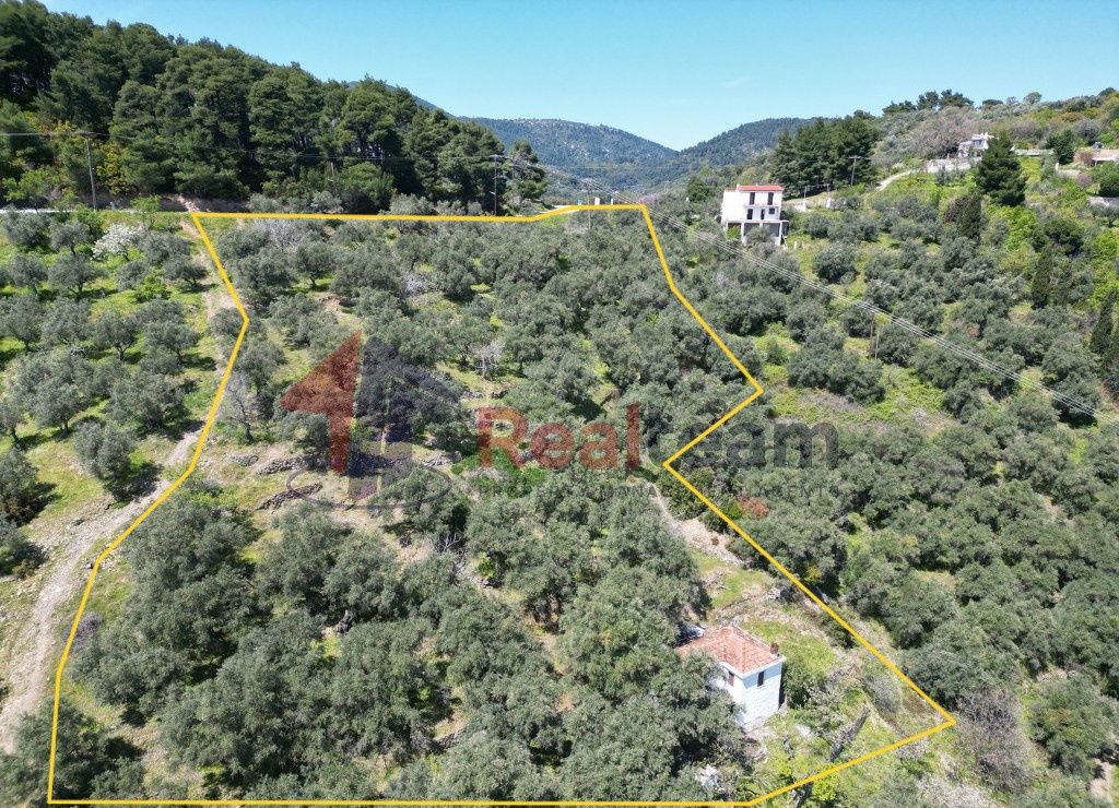 Property photo 3 of 30