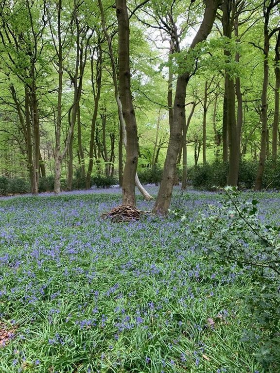 Property photo 1 of 5 Picture No. 01