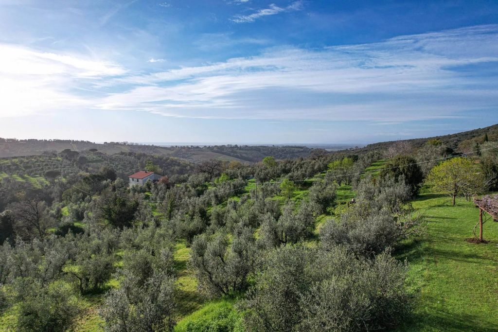 Property photo 3 of 33