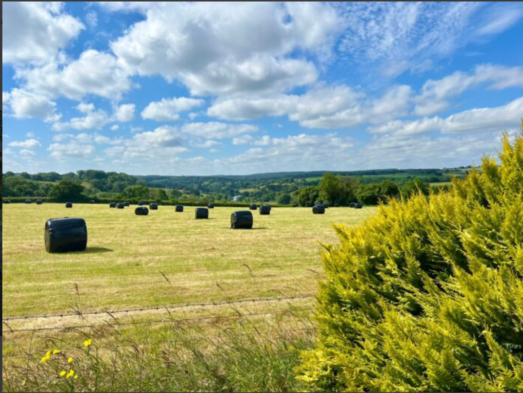 Property photo 3 of 29