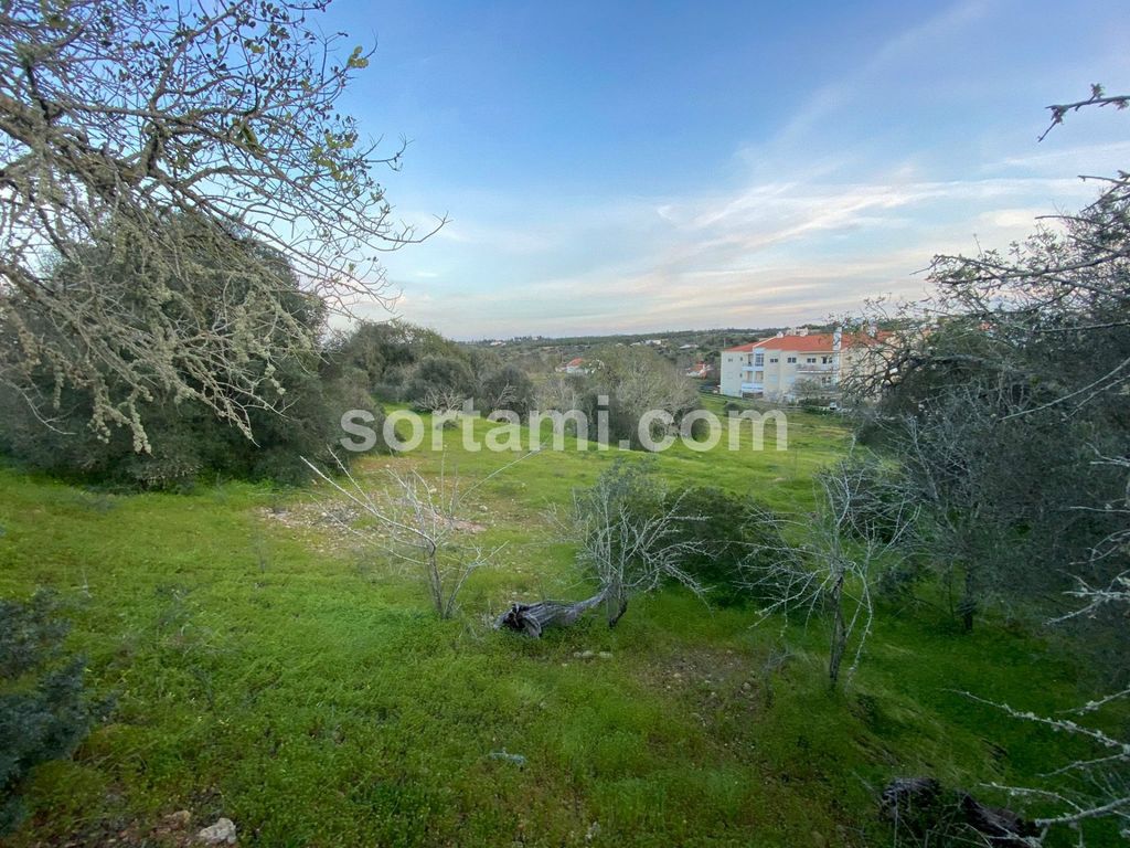 Property photo 1 of 25