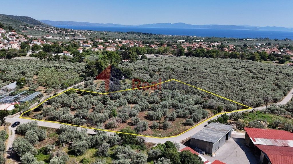 Property photo 1 of 26