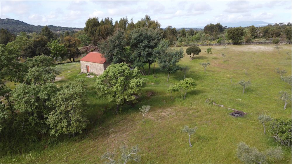 Property photo 2 of 31