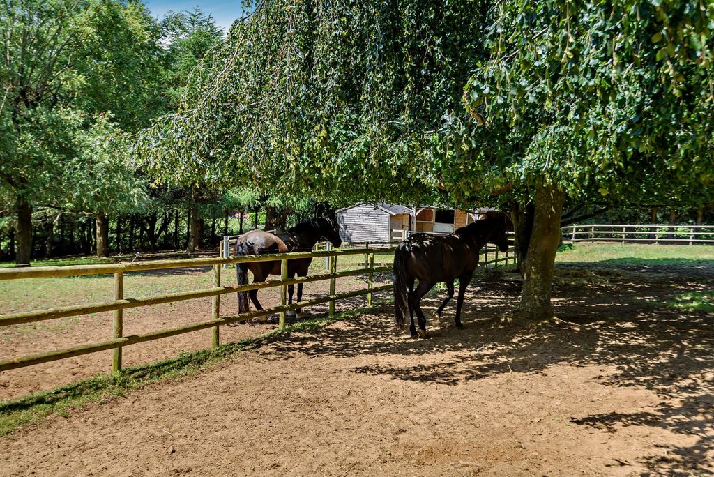 Additional image 27 of 5 bed equestrian for saleChurt Road, Churt, Farnham, Surrey GU10