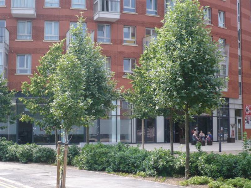 Property photo 1 of 6 Photo 2