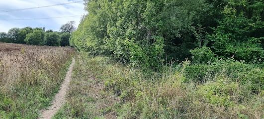 Additional image 15 of Land for saleLovedean Lane, Waterlooville PO8
