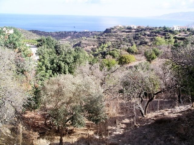Property photo 3 of 4