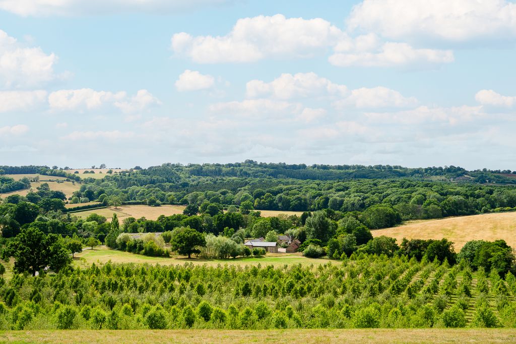 Property photo 2 of 19 The Granary, Woodhouse Farm-29