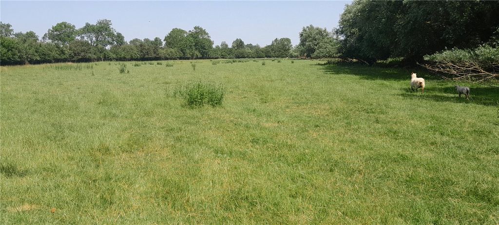 Property photo 3 of 6 Picture No. 03
