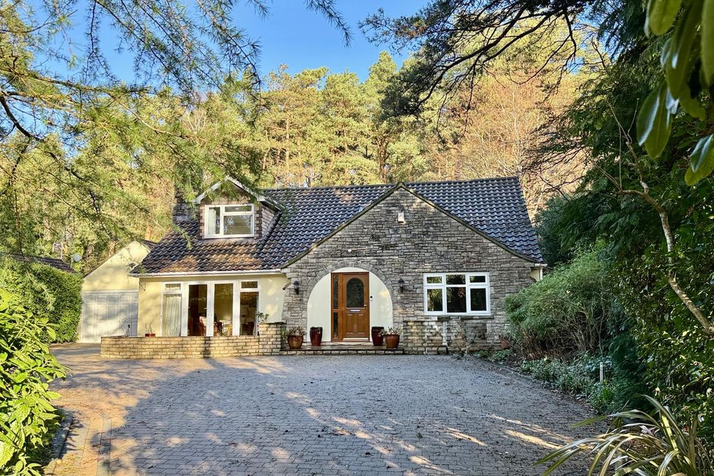 Property photo 1 of 41 5 Bedroom Detached Chalet Home