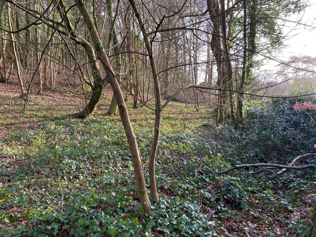 Property photo 3 of 6 ***