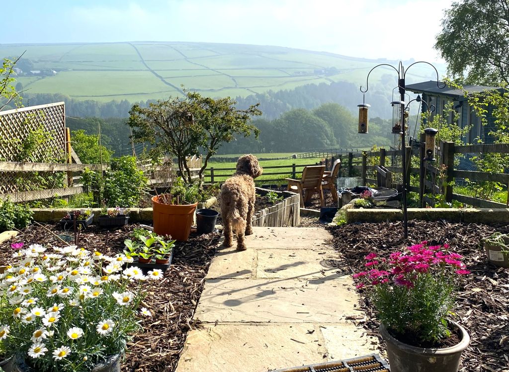 Additional image 14 of 2 bed cottage for saleThe Hideaway, Widdop Road, Hebden Bridge HX7