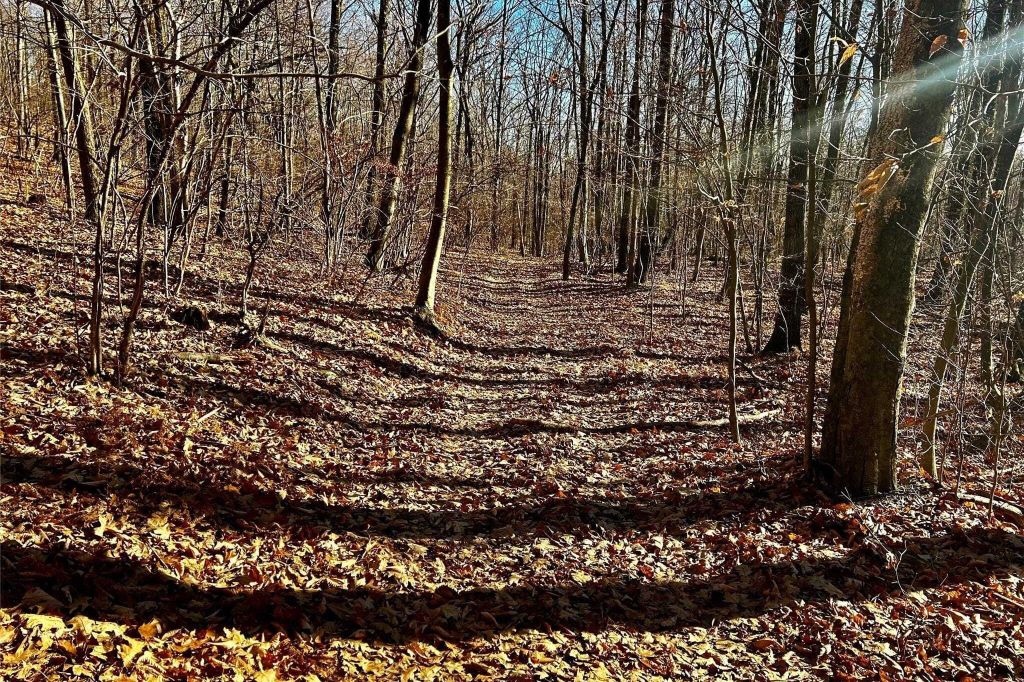 Property photo 2 of 19 <Alttext/>