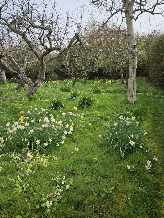 Property photo 2 of 36 Whatsapp Image 2026-03-20 At F.Jpeg