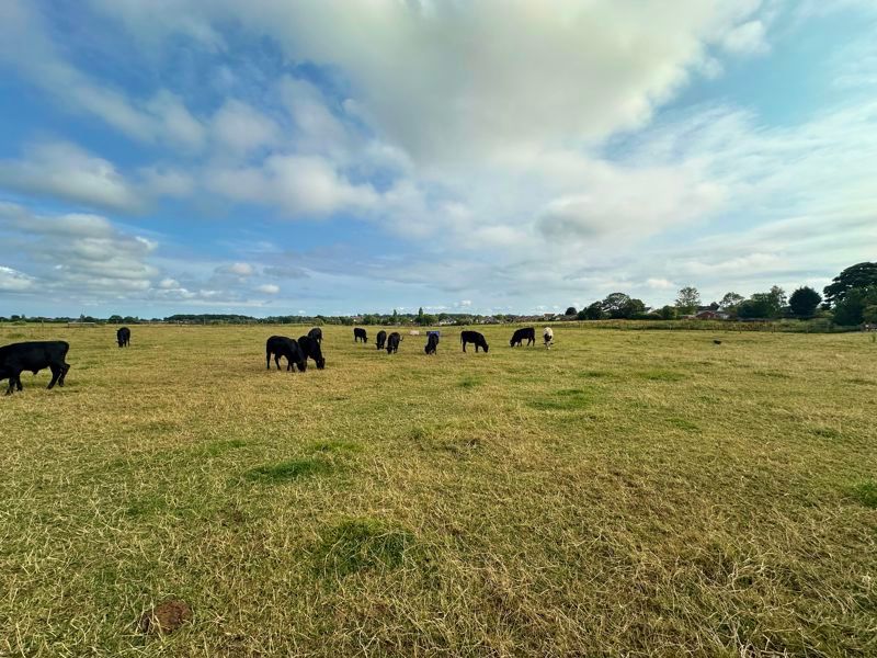 Property photo 2 of 18 Photo 16