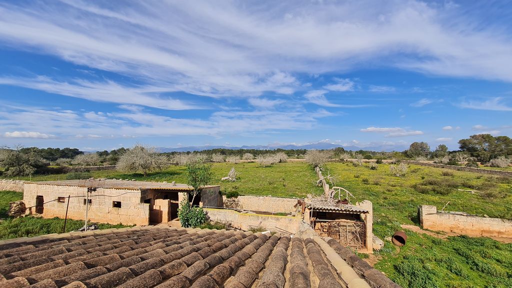 Property photo 3 of 19 03.Jpg