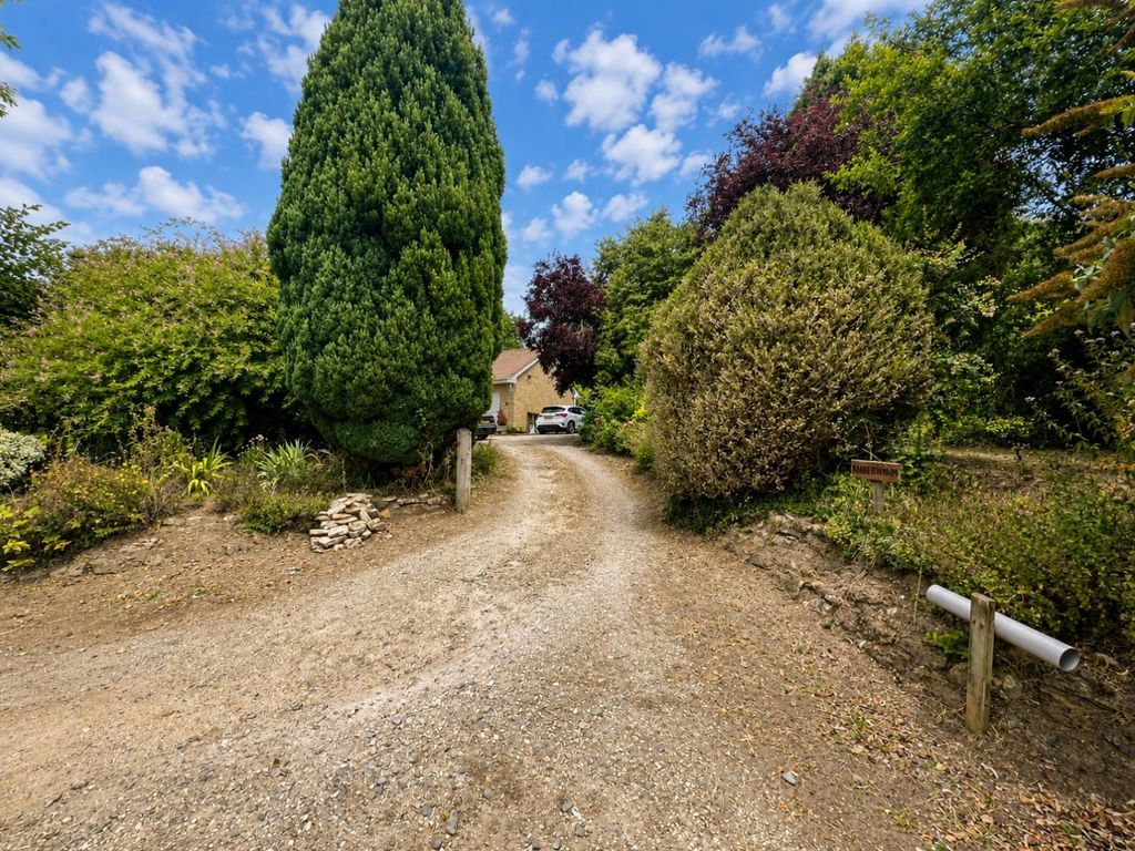 Property photo 3 of 18 Amberwood - Driveway.Jpeg